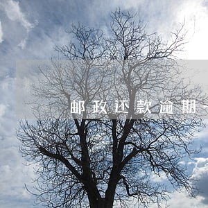 邮政还款逾期一小时影响多久 邮政还款逾期一小时影响多久