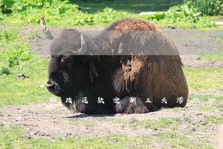 邮政还款逾期三天滞纳金 邮政还款逾期三天滞纳金