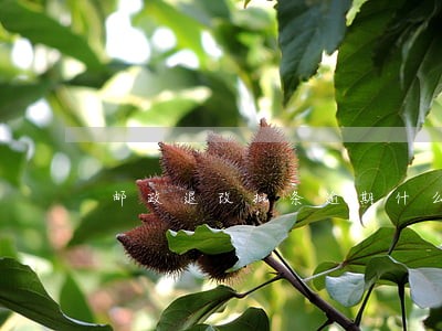 邮政退改批条逾期什么意思 邮政退改批条逾期什么意思