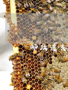邮政透支卡逾期利率是多少 邮政透支卡逾期利率是多少