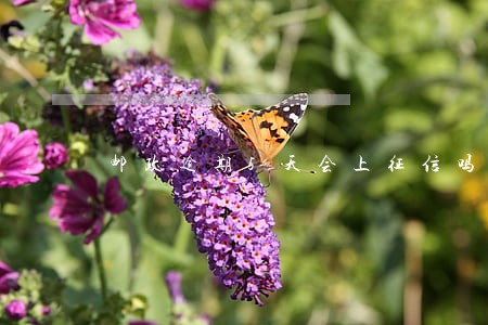 邮政逾期5天会上征信吗