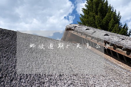 邮政逾期5天怎么办 邮政逾期5天怎么办