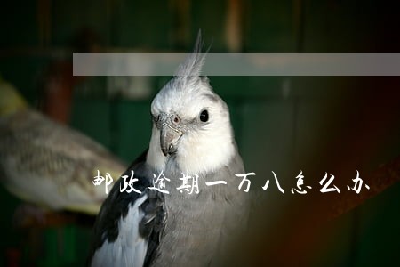 邮政逾期一万八怎么办 邮政逾期一万八怎么办