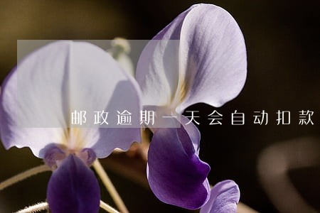 邮政逾期一天会自动扣款吗 邮政逾期一天会自动扣款吗