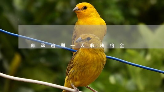 邮政逾期一天收违约金 邮政逾期一天收违约金