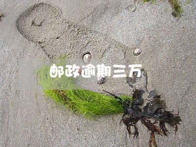 邮政逾期三万 邮政逾期三万