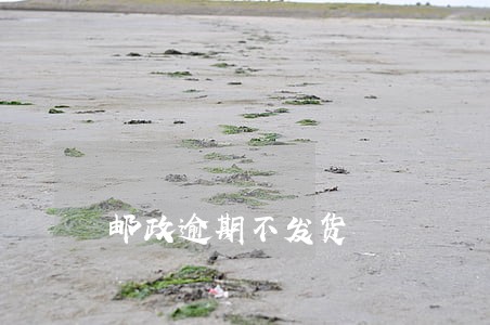 邮政逾期不发货 邮政逾期不发货
