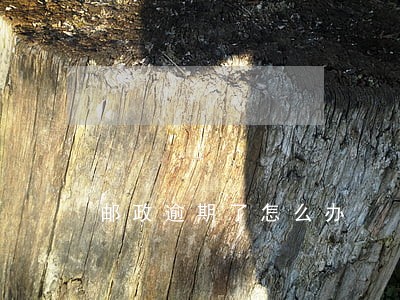 邮政逾期了怎么办 邮政逾期了怎么办