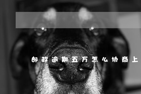 邮政逾期五万怎么协商上海 邮政逾期五万怎么协商上海