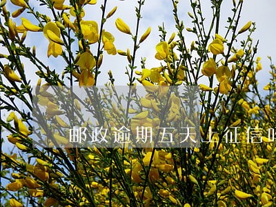 邮政逾期五天上征信吗 邮政逾期五天上征信吗