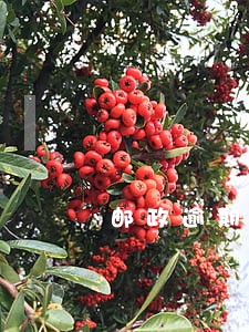 邮政逾期冻结了 邮政逾期冻结了