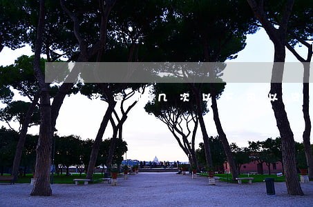 邮政逾期几次以下可以贷款 邮政逾期几次以下可以贷款