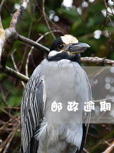 邮政逾期利息如何减免 邮政逾期利息如何减免