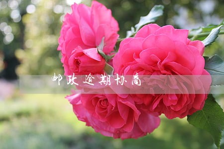 邮政逾期协商 邮政逾期协商