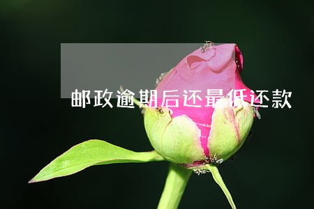 邮政逾期后还最低还款 邮政逾期后还最低还款