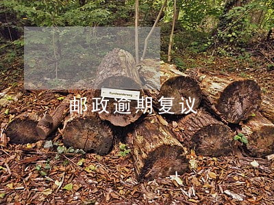 邮政逾期复议