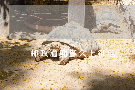 邮政逾期多久上征信
