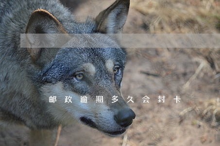 邮政逾期多久会封卡 邮政逾期多久会封卡