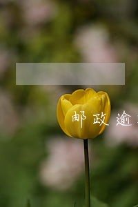 邮政逾期征信 邮政逾期征信