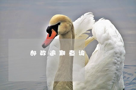 邮政逾期查询 邮政逾期查询