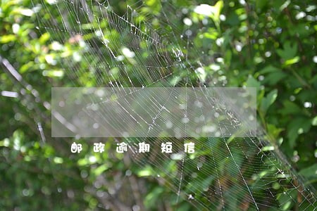 邮政逾期短信 邮政逾期短信