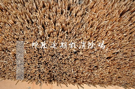 邮政逾期能消除吗 邮政逾期能消除吗