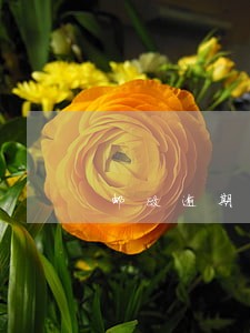 邮政逾期证明范本 邮政逾期证明范本