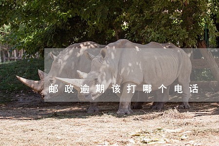 邮政逾期该打哪个电话 邮政逾期该打哪个电话