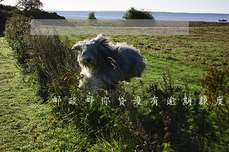 邮政邮你贷没有逾期额度会提高吗 邮政邮你贷没有逾期额度会提高吗