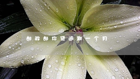 邮政邮你贷逾期一个月 邮政邮你贷逾期一个月