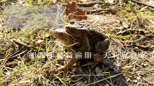 邮政邮你贷逾期一天利息是多少 邮政邮你贷逾期一天利息是多少