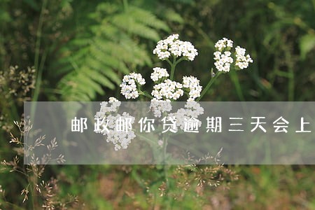 邮政邮你贷逾期三天会上征信吗