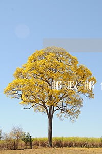 邮政邮你贷逾期两个月了 邮政邮你贷逾期两个月了