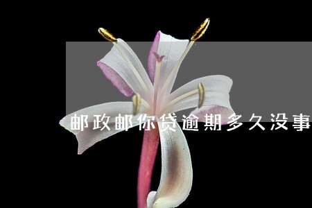 邮政邮你贷逾期多久没事 邮政邮你贷逾期多久没事