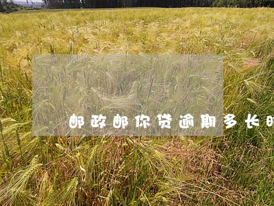 邮政邮你贷逾期多长时间会上门