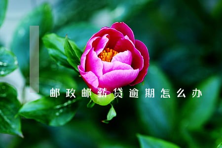 邮政邮薪贷逾期怎么办 邮政邮薪贷逾期怎么办