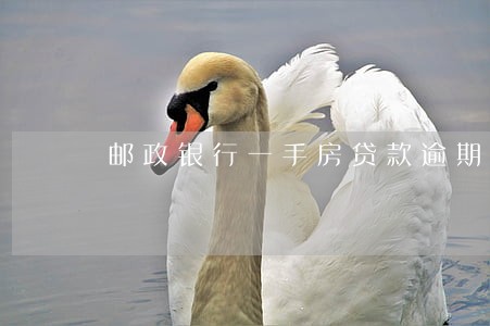 邮政银行一手房贷款逾期一天 邮政银行一手房贷款逾期一天