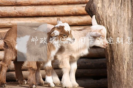 邮政银行信用卡有逾期怎么办 邮政银行信用卡有逾期怎么办