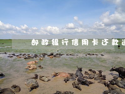邮政银行信用卡还款逾期了一天 邮政银行信用卡还款逾期了一天
