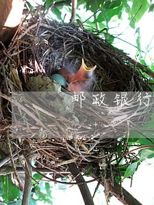 邮政银行信用卡逾期6万
