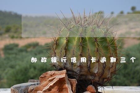 邮政银行信用卡逾期三个月怎样 邮政银行信用卡逾期三个月怎样