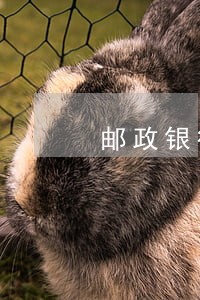 邮政银行信用卡逾期不能免息么