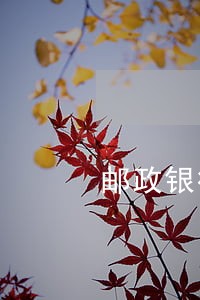 邮政银行信用卡逾期不能分期 邮政银行信用卡逾期不能分期