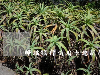 邮政银行信用卡逾期两年多 邮政银行信用卡逾期两年多
