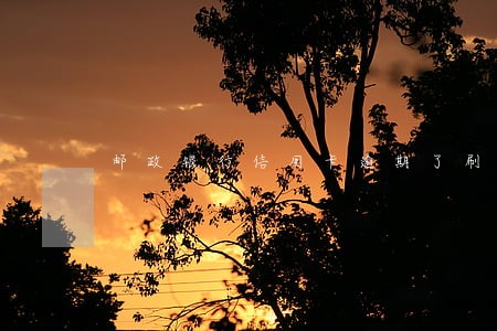 邮政银行信用卡逾期了刷不出来