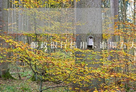 邮政银行信用卡逾期五天还款 邮政银行信用卡逾期五天还款
