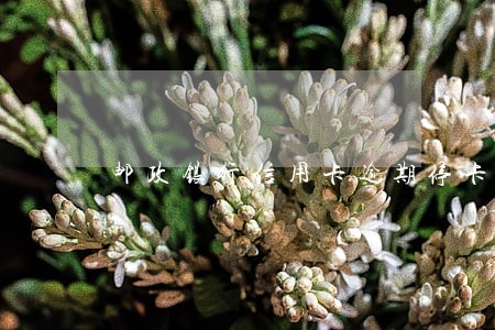 邮政银行信用卡逾期停卡怎么办