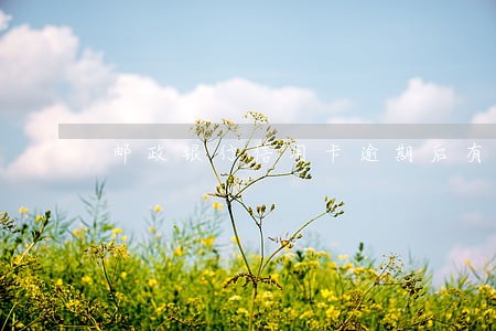 邮政银行信用卡逾期后有减免吗