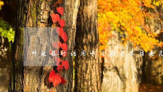邮政银行信用卡逾期宽限日是几天