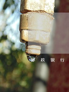 邮政银行信用卡逾期案件